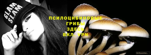 mdma Кукмор