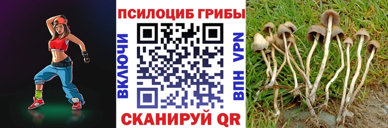 даркнет сайт  Юрюзань  блэк спрут маркетплейс  Псилоцибиновые грибы мухоморы 